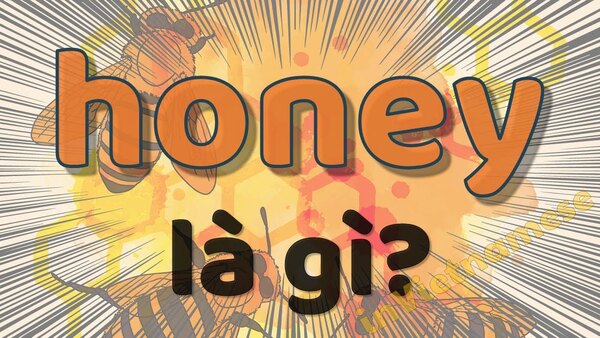 Honey nghĩa là gì