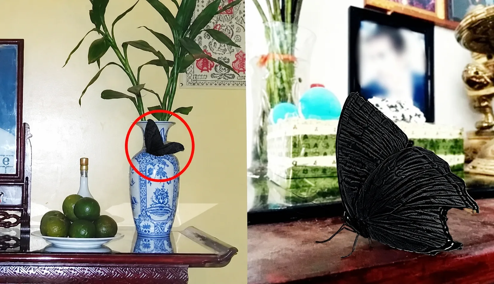 Bướm đen đậu gần bàn thờ thường được xem là hình ảnh mang màu sắc tâm linh, cần ứng xử thành kính.