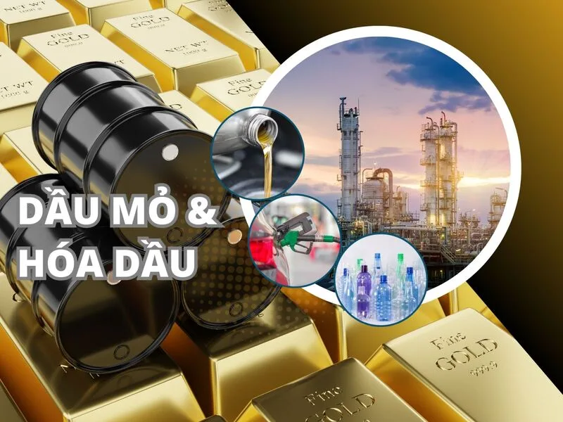 Dầu mỏ xuất hiện trong giao thông, công nghiệp, hóa chất, nhựa, sợi tổng hợp, mỹ phẩm và nhiều sản phẩm hằng ngày.